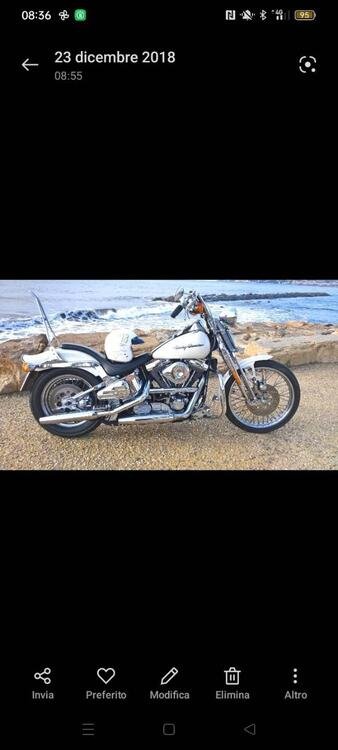 Harley-Davidson 1340 Springer (1990 - 98) - FXSTS (3)