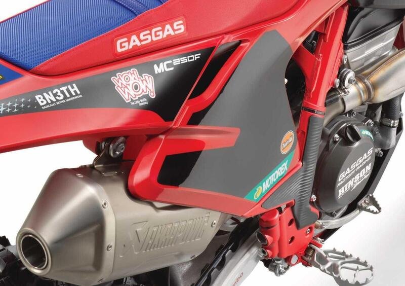 GASGAS MC 450 F MC 450 F Factory Edition (2024) (10)