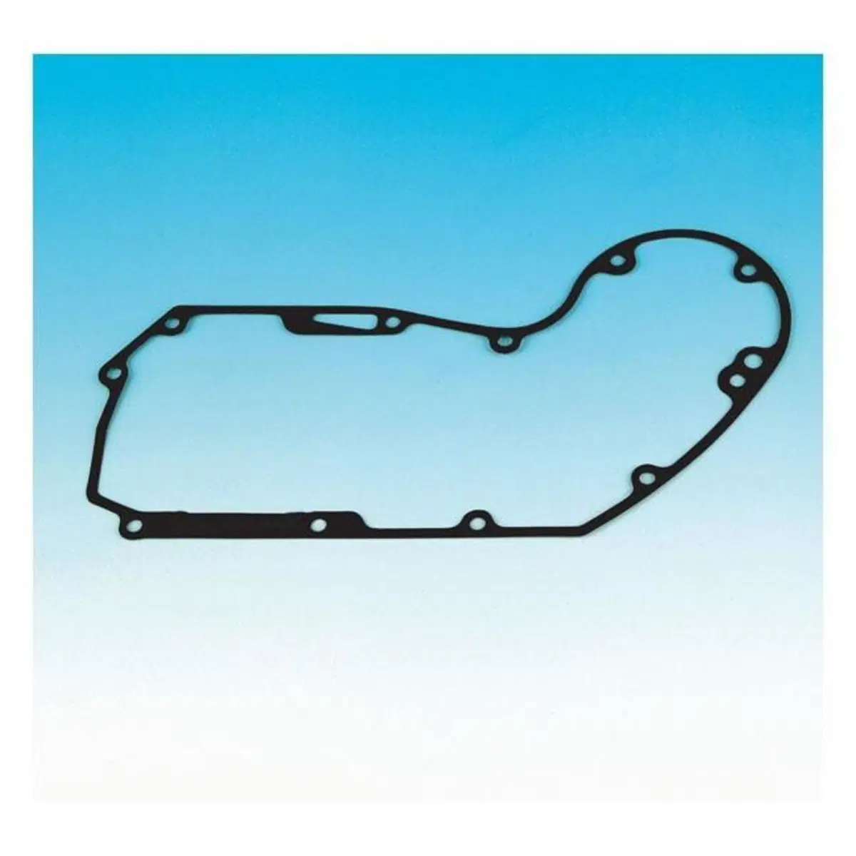 Guarnizione coperchio cam per Sportster dal 1991 a 