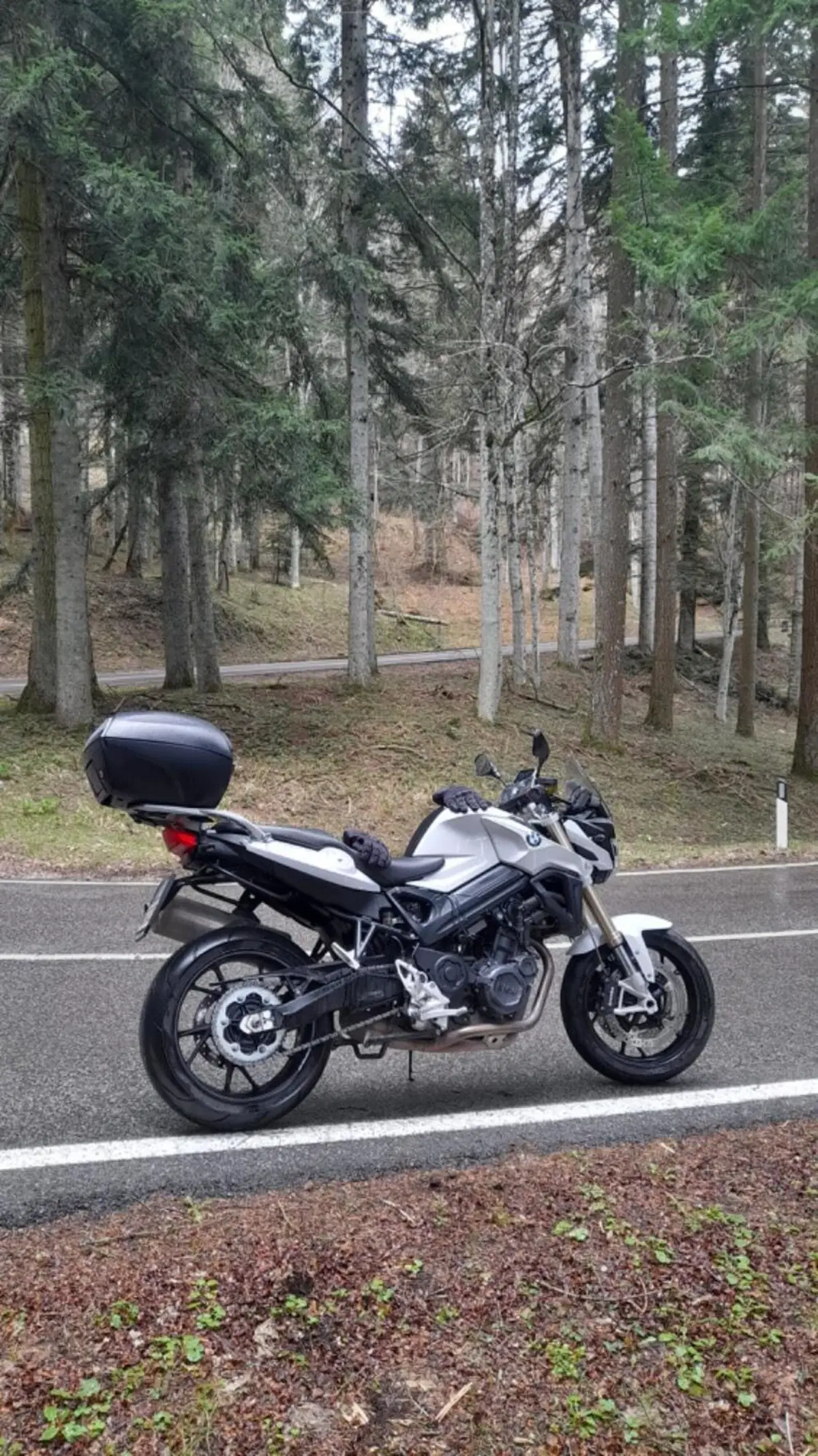 Bmw F 800 R (2015 - 16) (7)