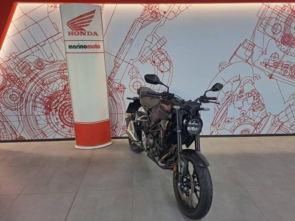 Honda CB 300 R (2022 - 24) (2)