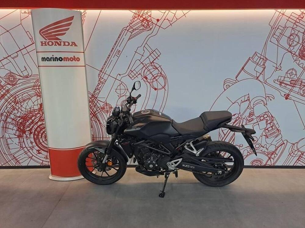 Honda CB 300 R (2022 - 24) (3)