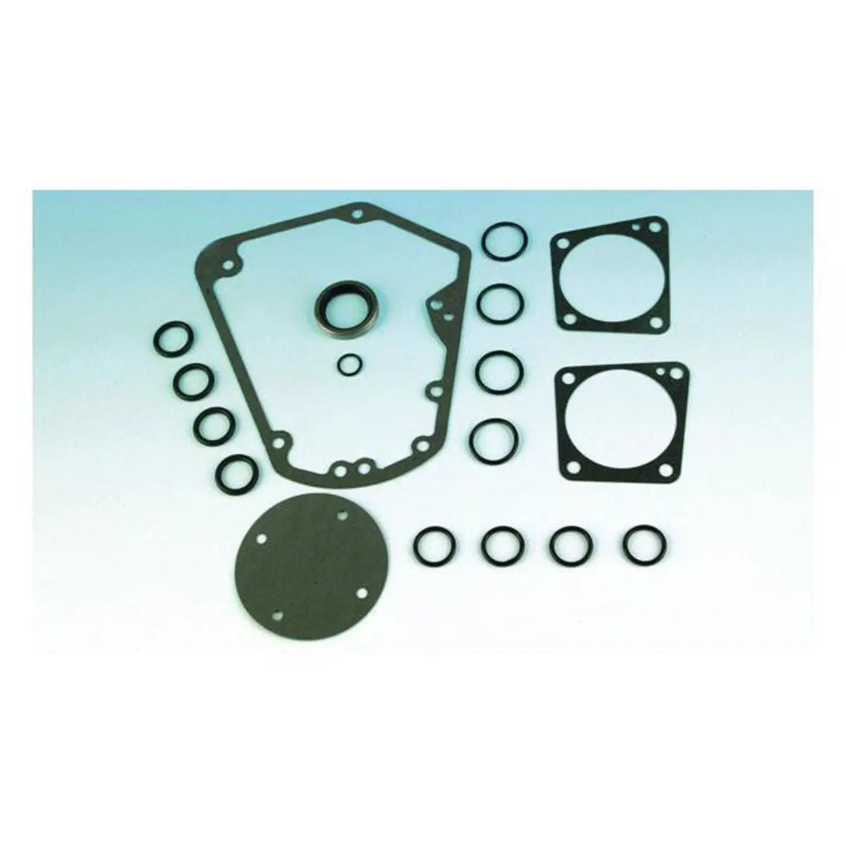 Kit guarnizioni sostituzione cam Per FXR, Dyna, So 