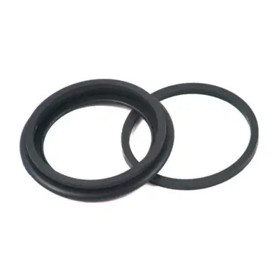 Kit paraoli pinza freno posteriore per Sportster d 