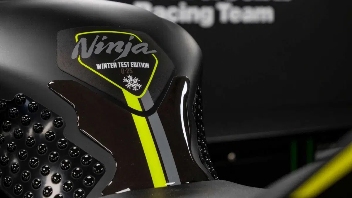 Kawasaki Ninja 1000 ZX-10RR Ninja 1000 ZX-10RR "Winter Test" Limited Edition (2024) (3)