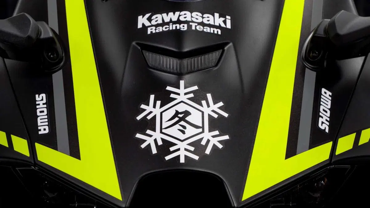 Kawasaki Ninja 1000 ZX-10RR Ninja 1000 ZX-10RR "Winter Test" Limited Edition (2024) (4)