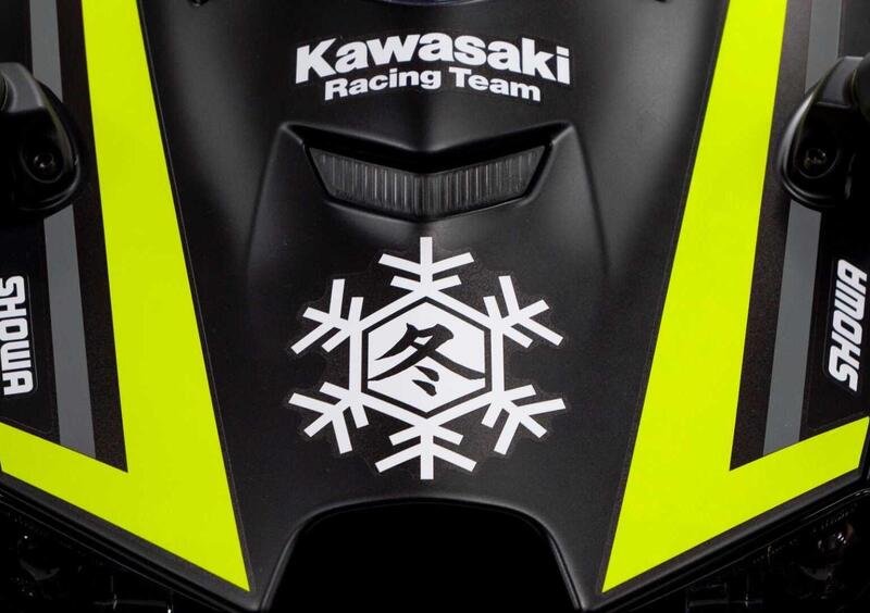 Kawasaki Ninja 1000 ZX-10RR Ninja 1000 ZX-10RR "Winter Test" Limited Edition (2024) (4)