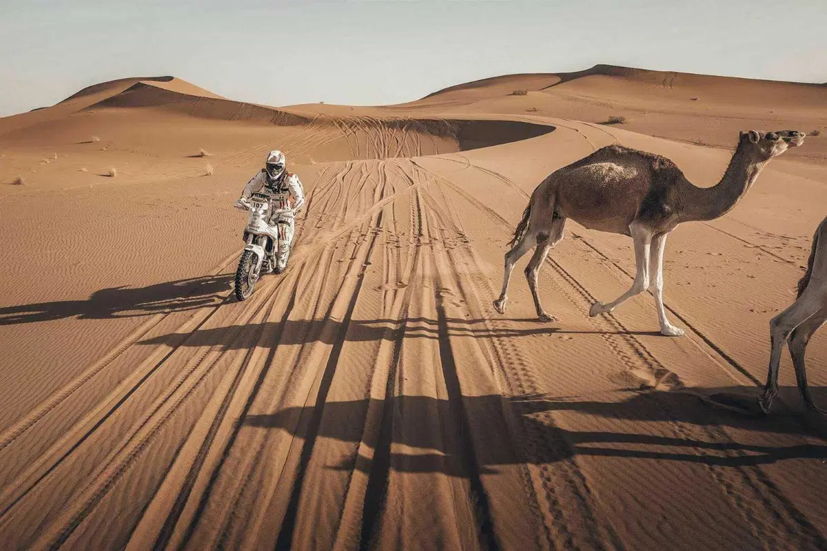 Africa Eco Race 24. A Ovest di Chinguetti (24)