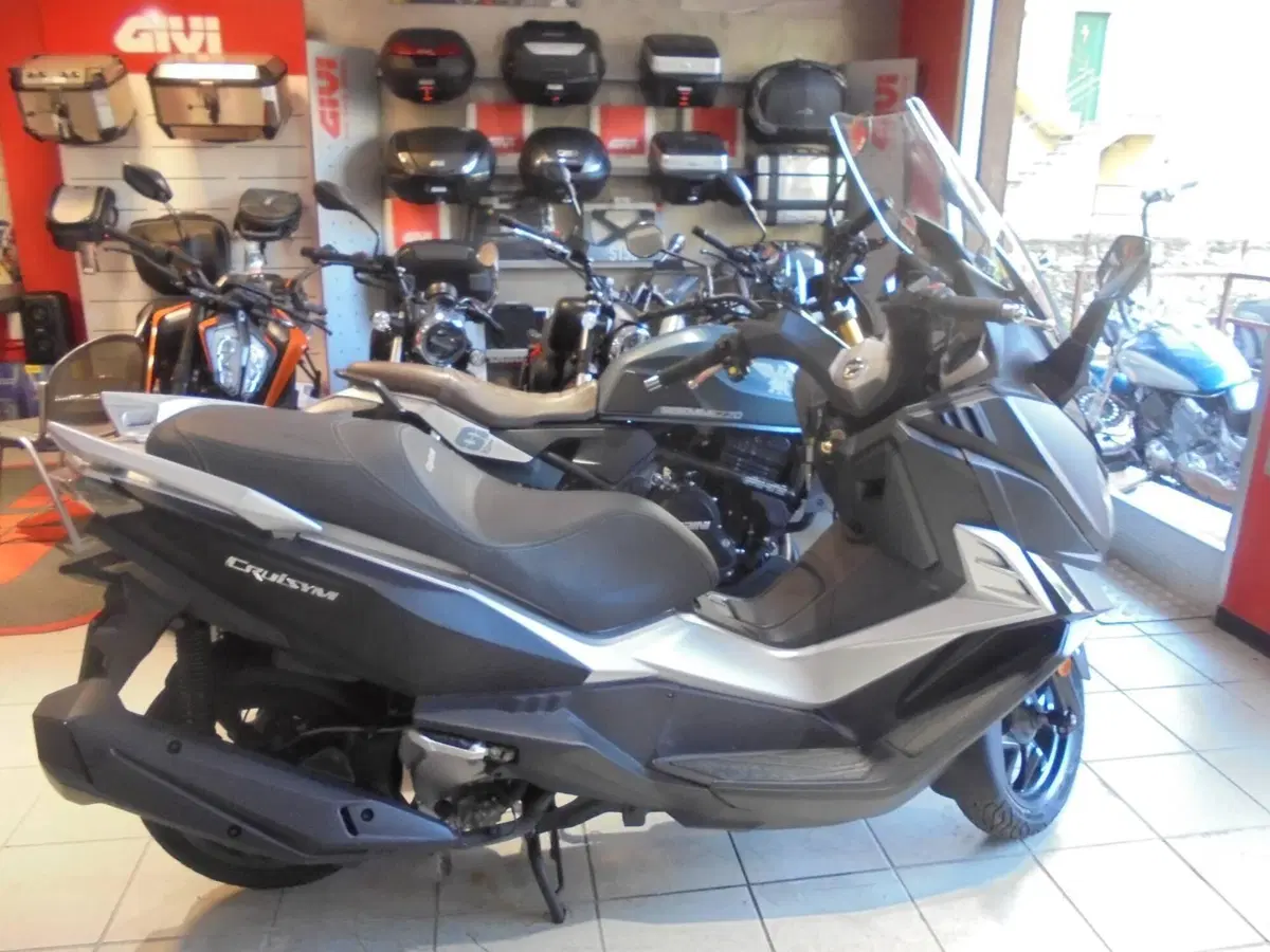 Sym Cruisym 300 (2017 - 20) (2)