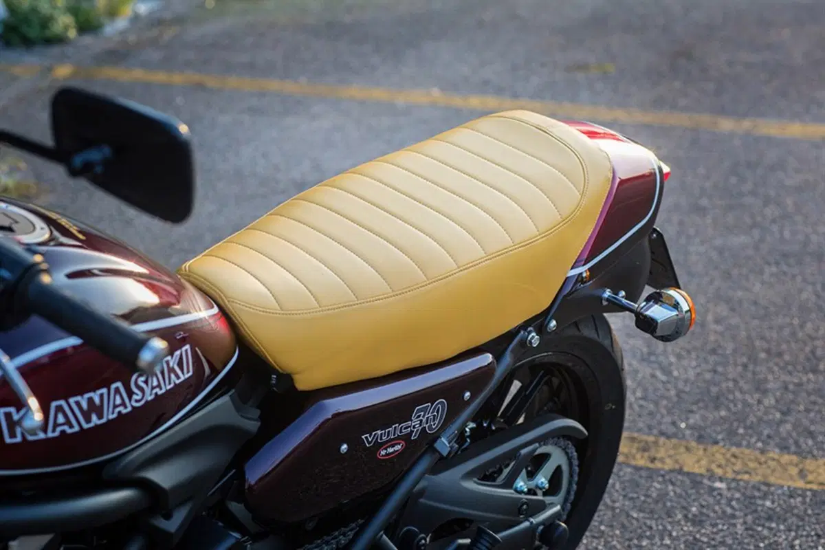 Kawasaki Vulcan 70 Vulcan 70 Mr Martini 650 ABS (2016) (11)