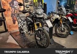 Triumph Tiger 1200 Rally Pro (2022 - 23) nuova