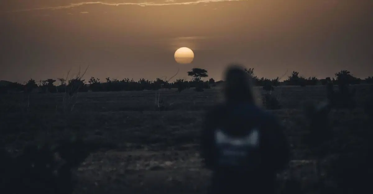 Rally-Raid: i Grandi Film