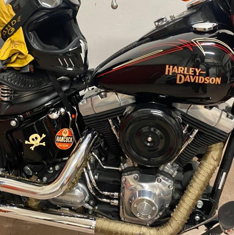 Harley-Davidson 1584 Cross Bones (2008 - 11) - FLSTSB (5)