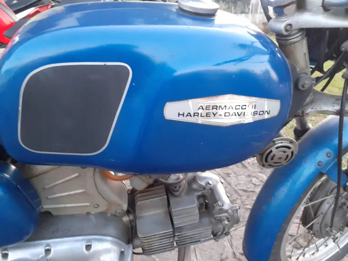 Aermacchi Harley-Davidson Tv 350 (6)