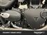 Triumph Speed Twin 900 (2023 - 24) (7)