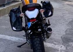 Ducati Scrambler 800 Classic (2015- 16) usata