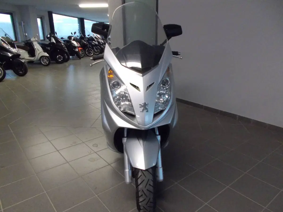 Peugeot Satelis 250 (2006 - 13) (3)