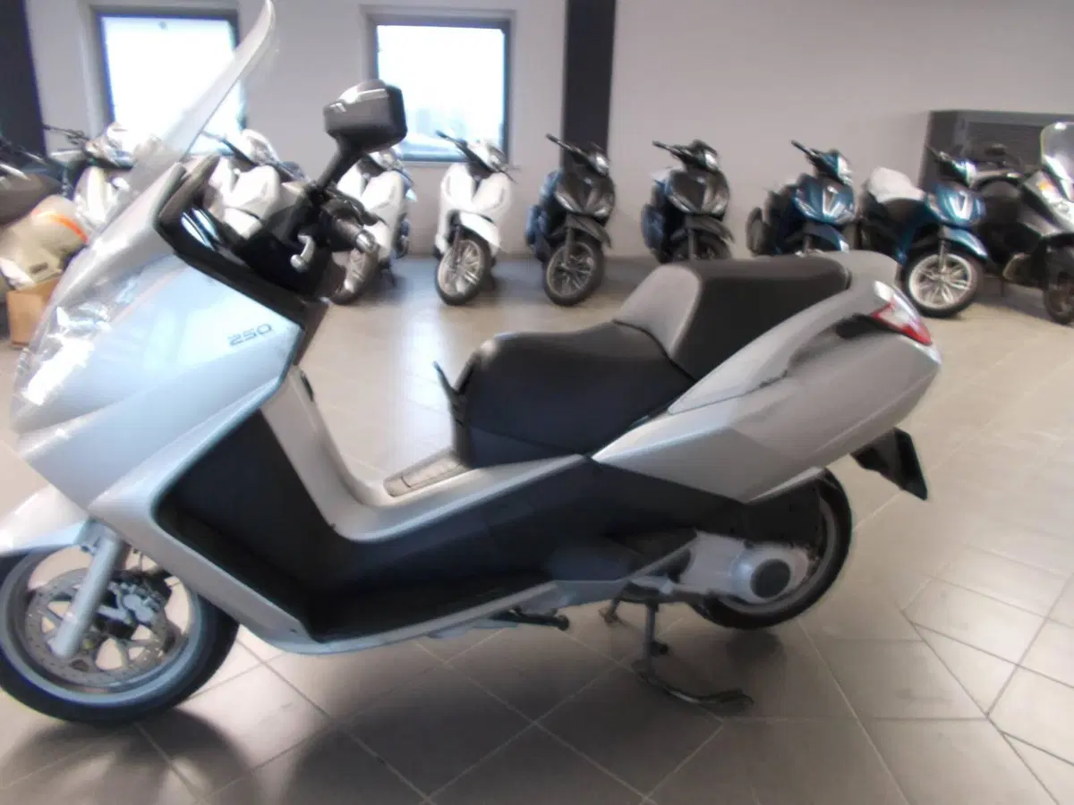 Peugeot Satelis 250 (2006 - 13) (5)