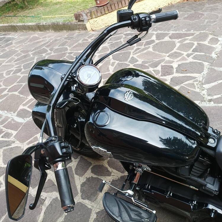 Harley-Davidson 1690 Slim (2011 - 16) - FLS (4)