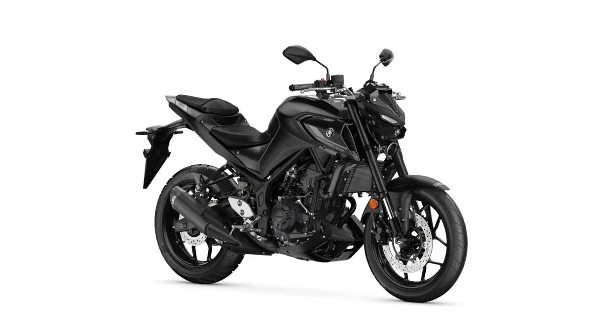Yamaha MT-03 (2022 - 24) (6)