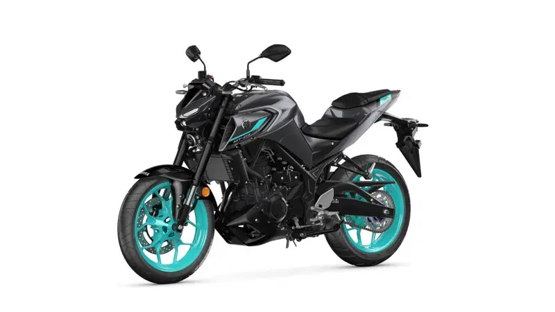 Yamaha MT-03 (2022 - 24) (15)