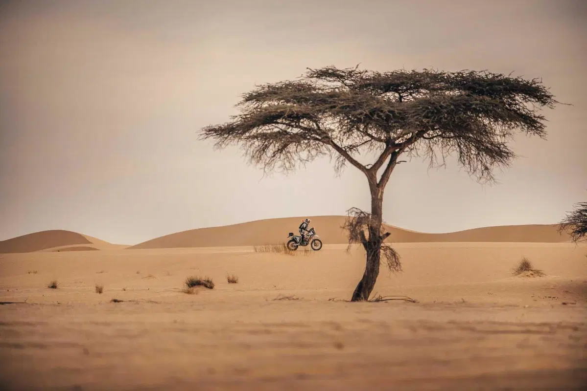 Africa Eco Race D8. Bolla di caos. Ma erano solo brividi! [VIDEO e GALLERY] (23)