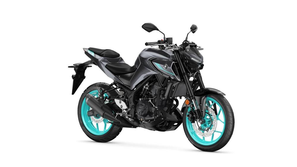 Yamaha MT-03 (2022 - 24)