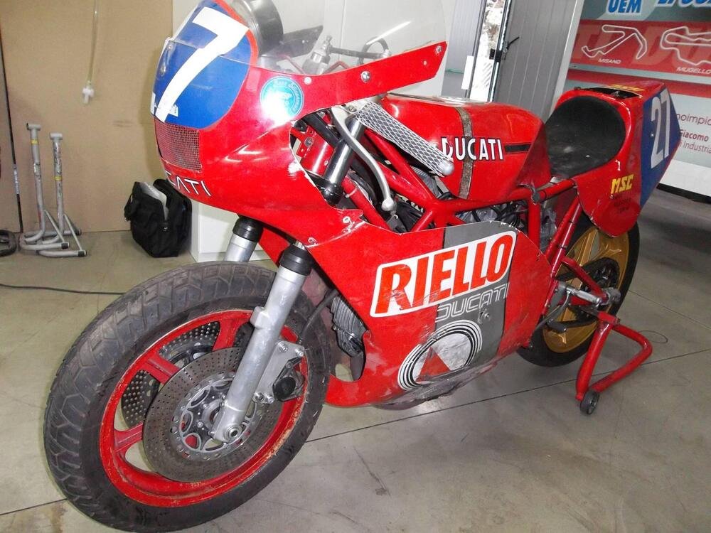 Ducati TT2 Mesturino (3)