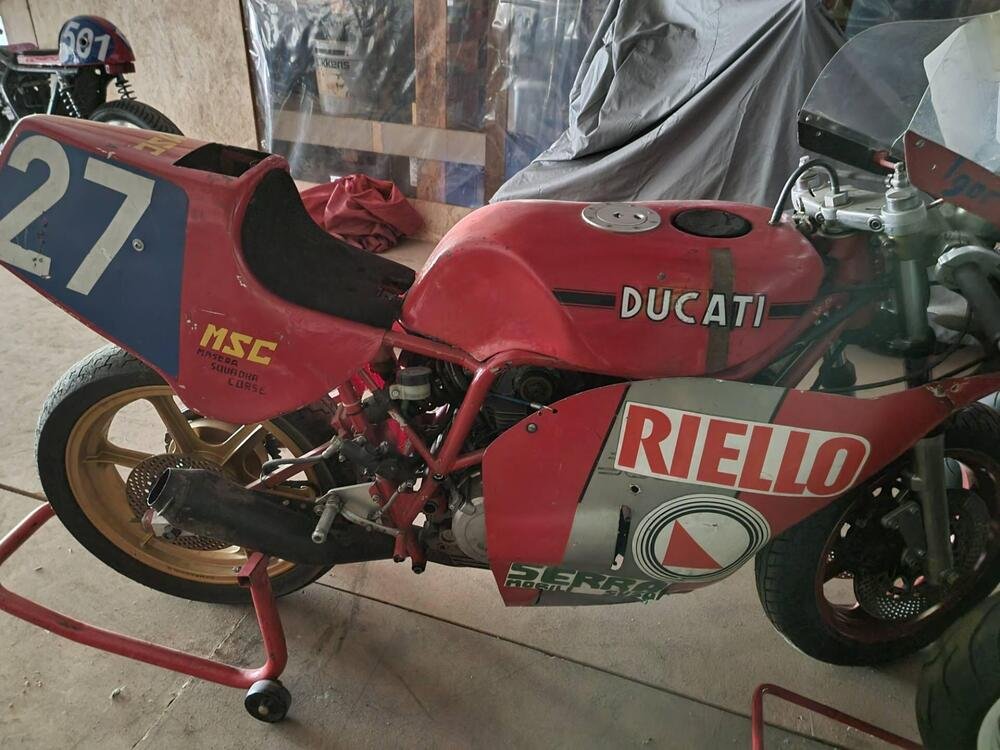 Ducati TT2 Mesturino (5)
