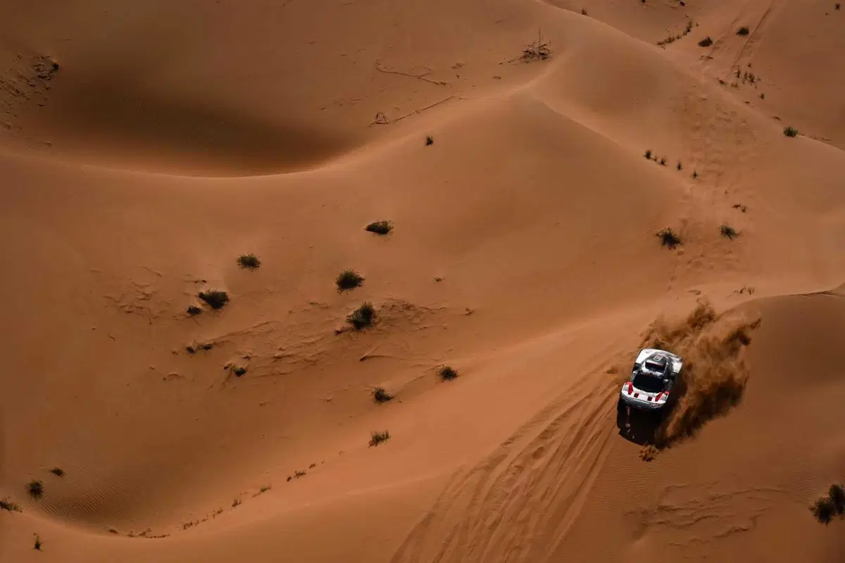 Dakar 24. D6. 48H #1. Sainz Demonio, Brabec consistent [GALLERY] (13)