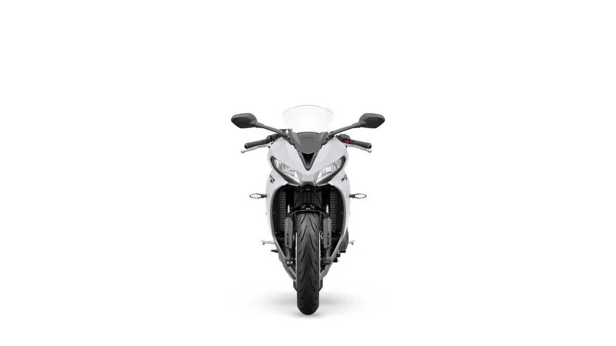 Triumph Daytona 660: Sportiva con classe  (18)