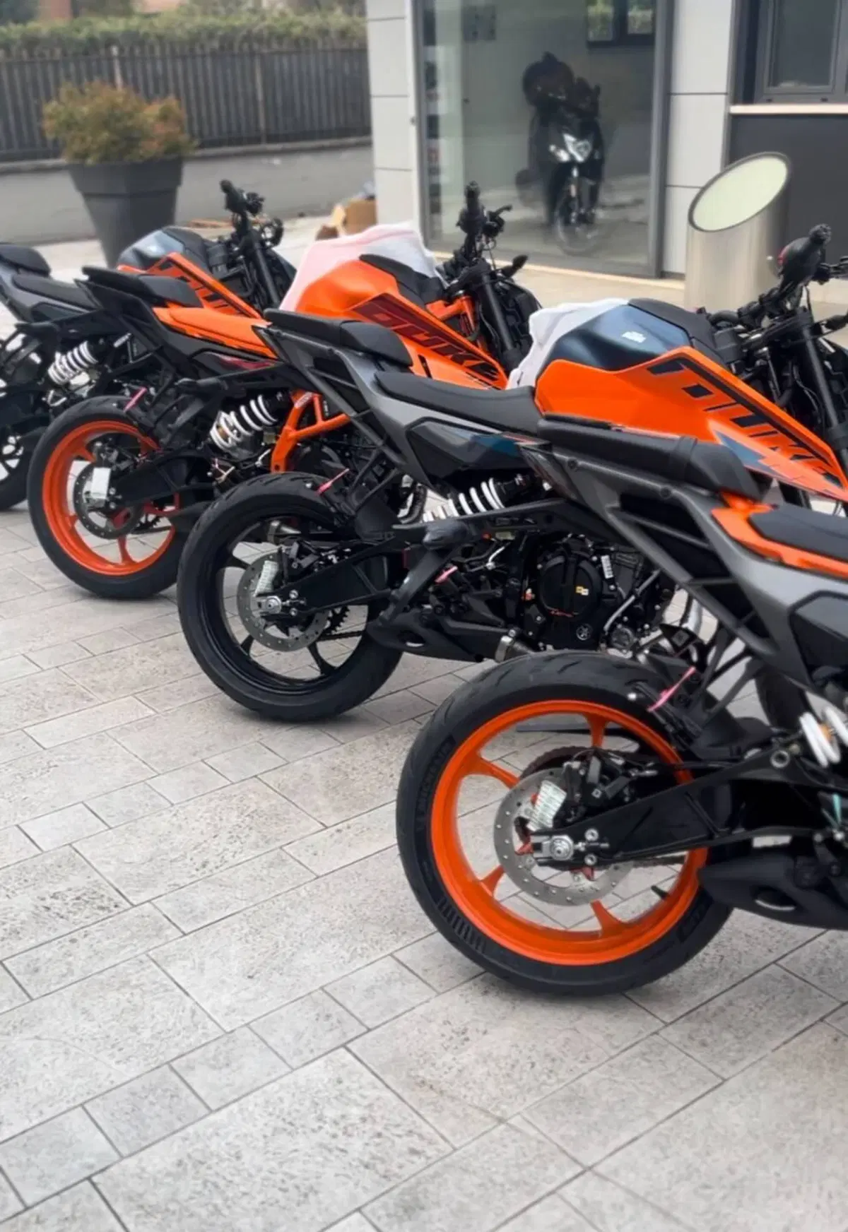 KTM 125 Duke (2024 - 25) (2)