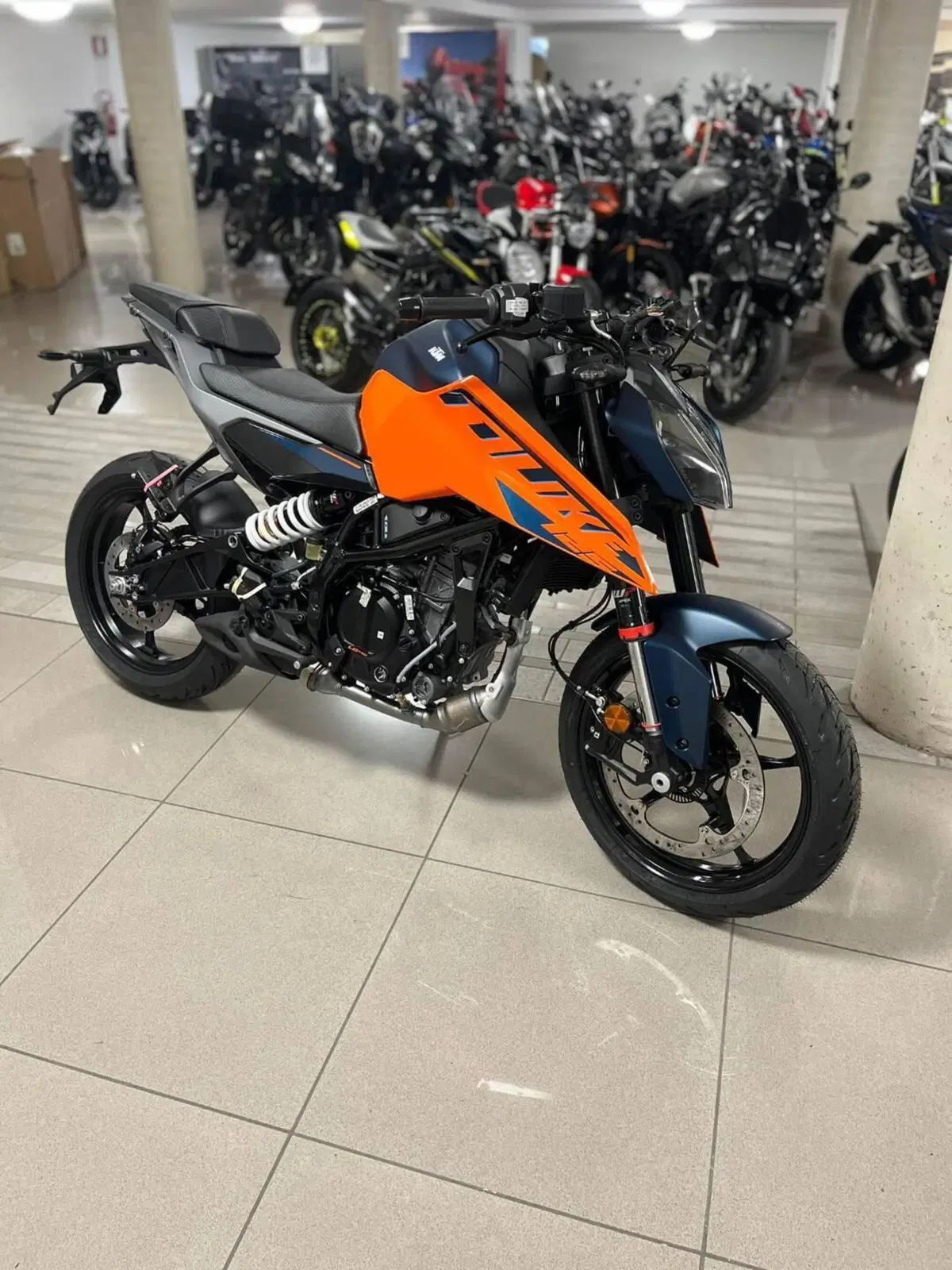 KTM 125 Duke (2024 - 25)