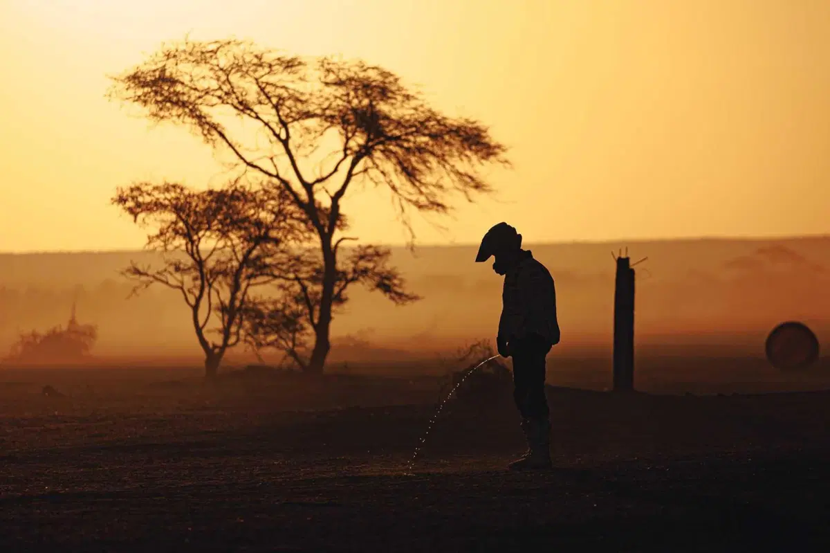 Africa Eco Race D10. Botturi, orgoglio e dispiacere [VIDEO e GALLERY] (14)