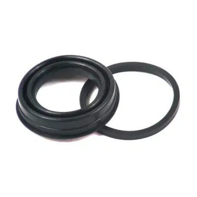 KIT paraoli pinza freno posteriore per FXWG dal 19 