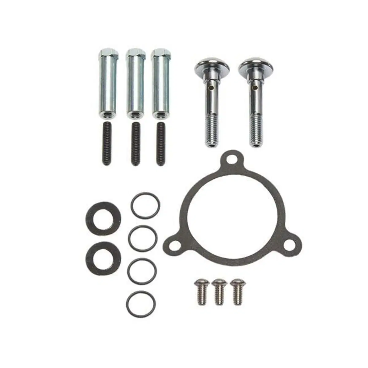 Kit ricambio bulloneria, sfiati e guarnizione del Arlen Ness