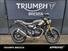 Triumph Scrambler 400 X (2024) (15)