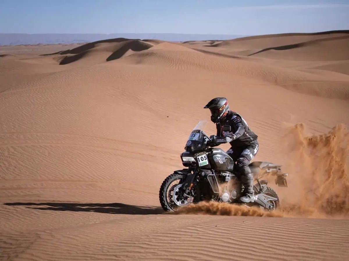 Joan Pedrero e la Harley-Davidson Pan America 1250 completano la Africa Eco Race 2024 (4)