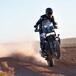 Joan Pedrero e la Harley-Davidson Pan America 1250 completano la Africa Eco Race 2024