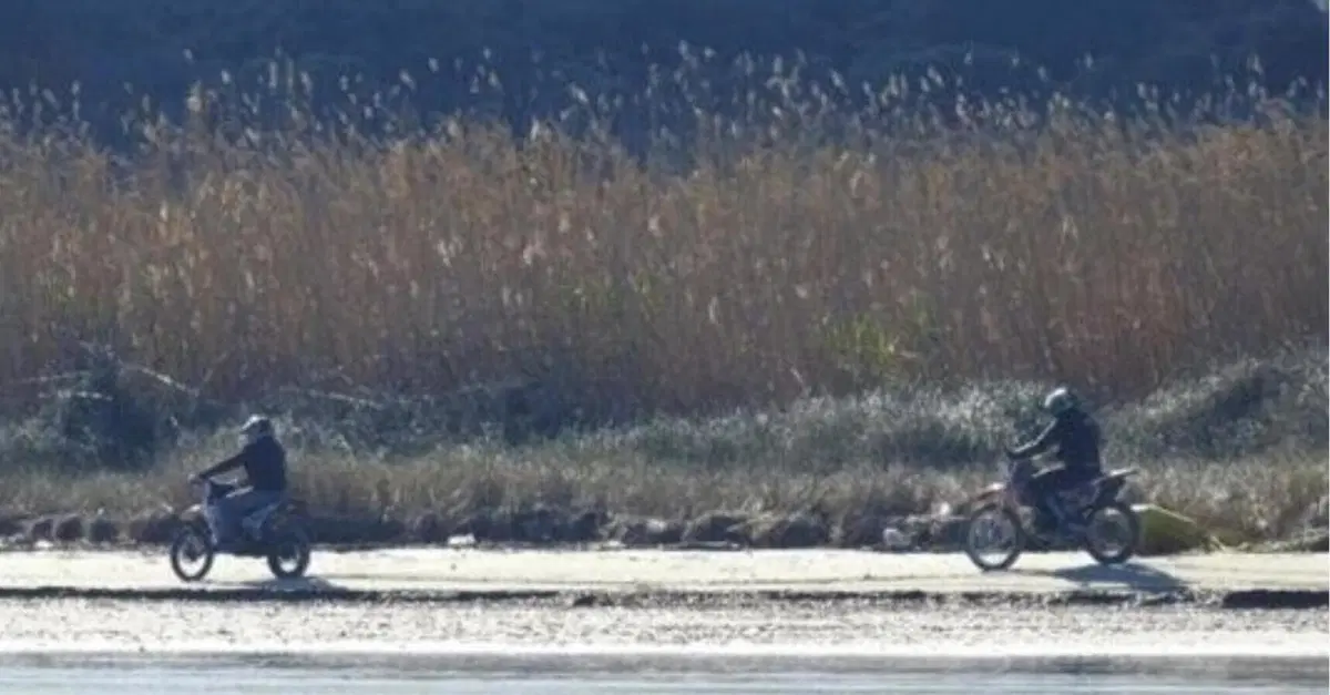 Beccati due motociclisti nell&rsquo;area protetta di Torre Guaceto