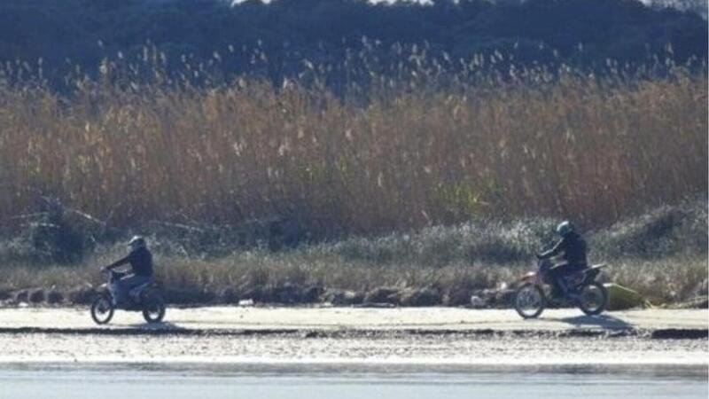 Beccati due motociclisti nell&rsquo;area protetta di Torre Guaceto
