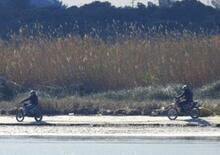 Beccati due motociclisti nell’area protetta di Torre Guaceto