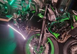 Kawasaki Z 900 (2021 - 24) nuova