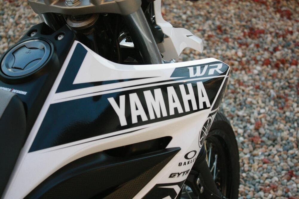 Yamaha WR 125 X (2009 - 16) (4)