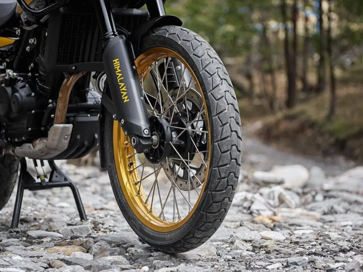 Royal Enfield Himalayan 450 Tubeless (2024 - 26) (5)