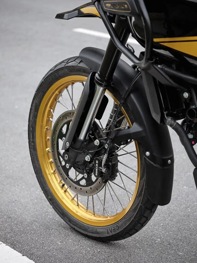 Royal Enfield Himalayan 450 Tubeless (2024 - 26) (6)