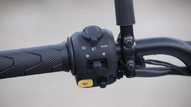 Royal Enfield Himalayan 450 Mana Black (2026) (4)