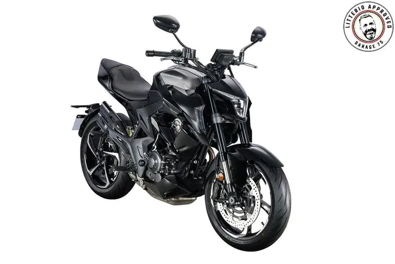 Zontes ZT350-R1 (2022 - 25)