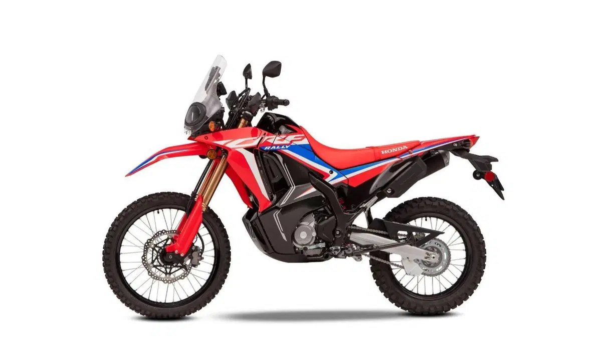 Honda CRF 300 Rally CRF 300 Rally (2021 - 24) (5)