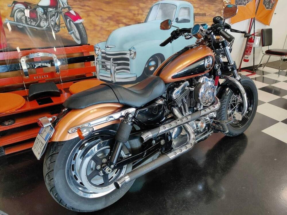 Harley-Davidson 1200 Custom (2007 - 13) - XL 1200C (2)